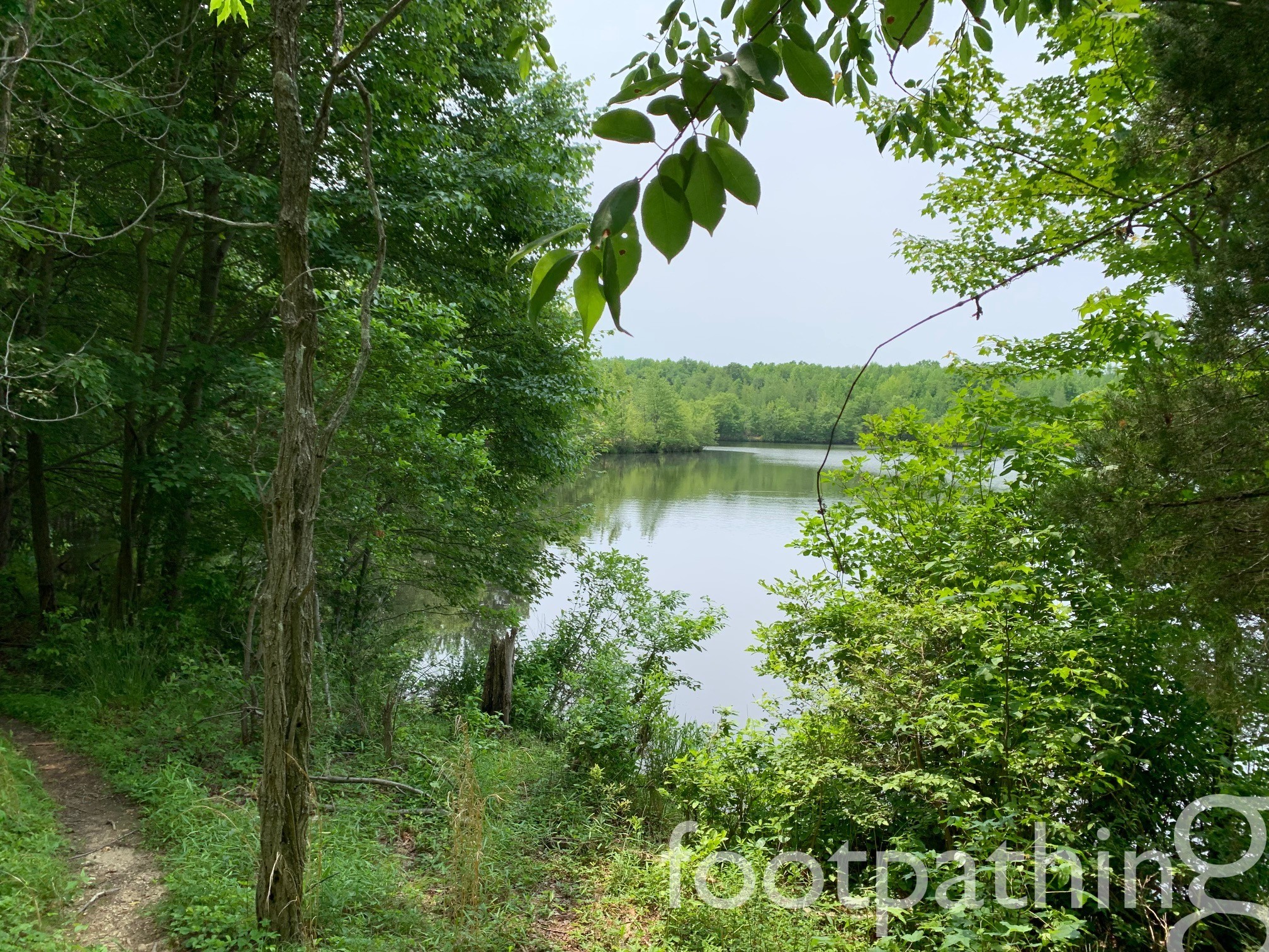 Audubon's Plainsboro Preserve Trail footpathing