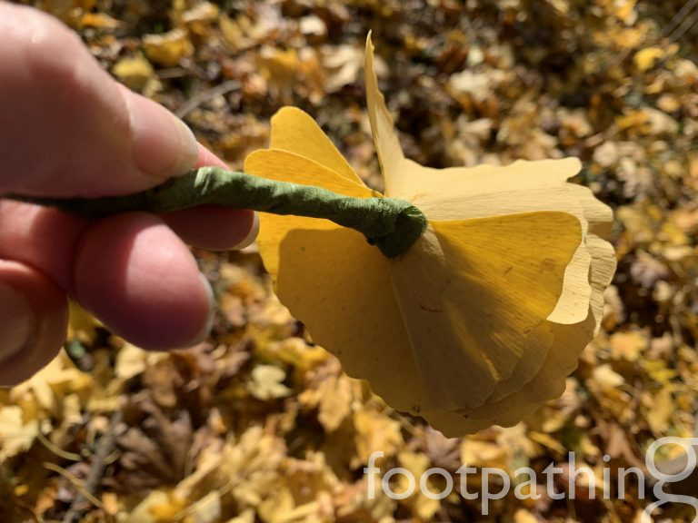 Continue wrapping the tape the full length of the stems.  Add a twig for a long-stem rose if you like.